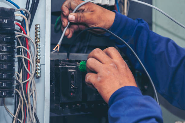 Best Local Electrician Companies  in Heyville, AL